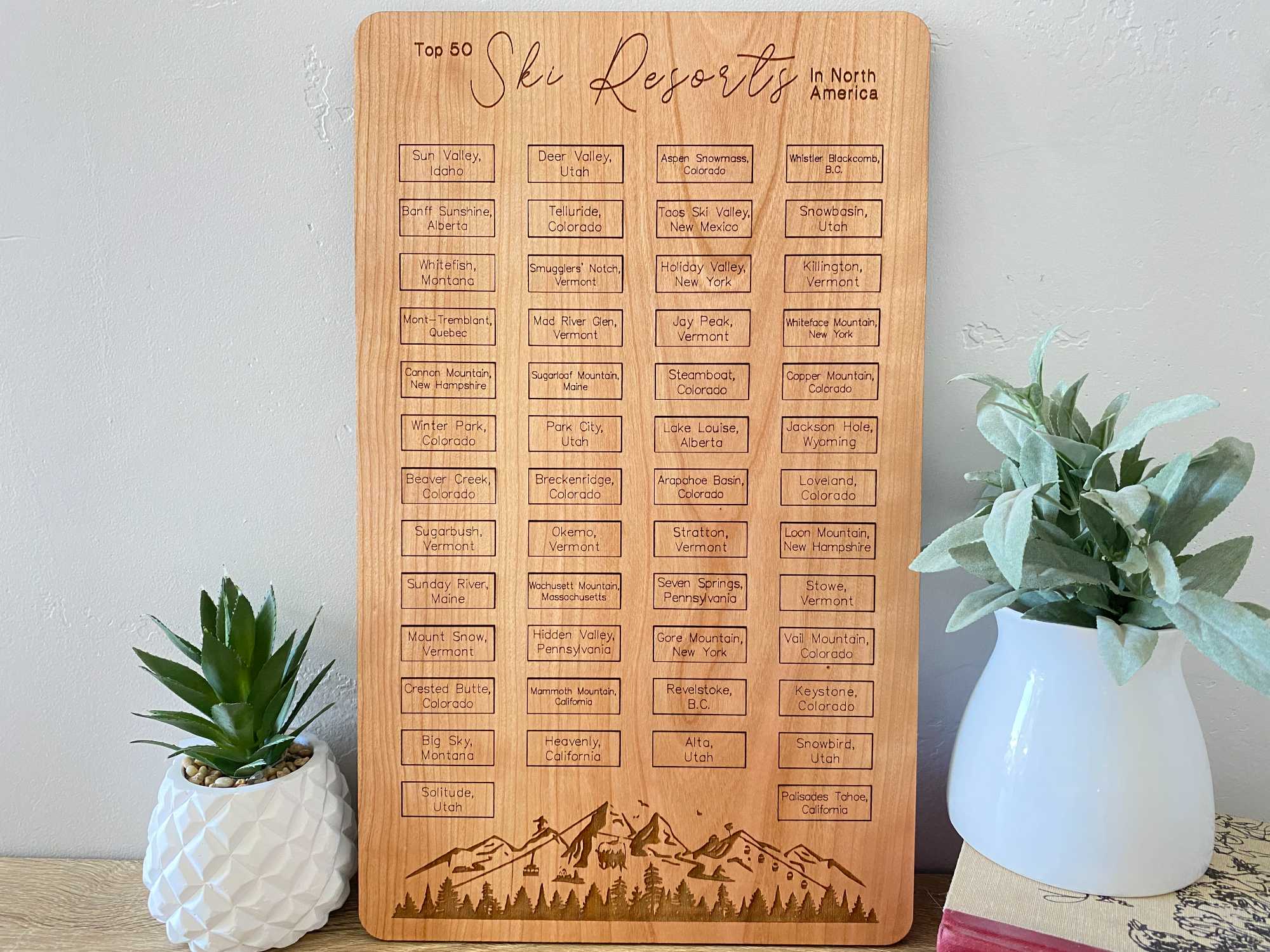 North America Ski Resorts Tracker Wood Sign, Unique Christmas Gifts For Dad