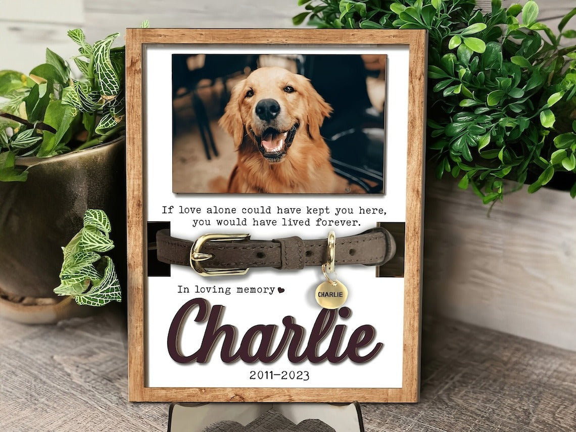 In Loving Memory Customized Pet Collar Holder Wooden Sign, Memorial Gift For Dog Lovers